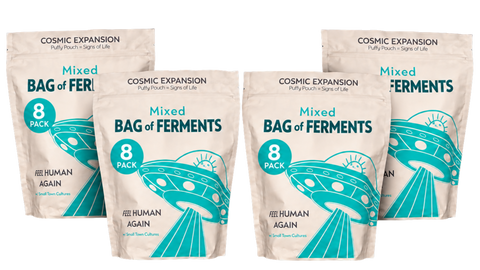 Mixed Ferments: Gut Reset