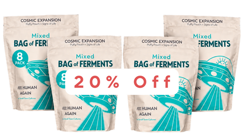 Mixed Ferments: Culture Club